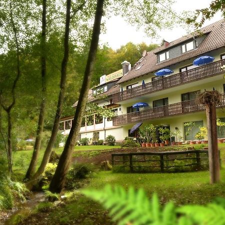 Hotel Waldhaus Mespelbrunn Esterno foto